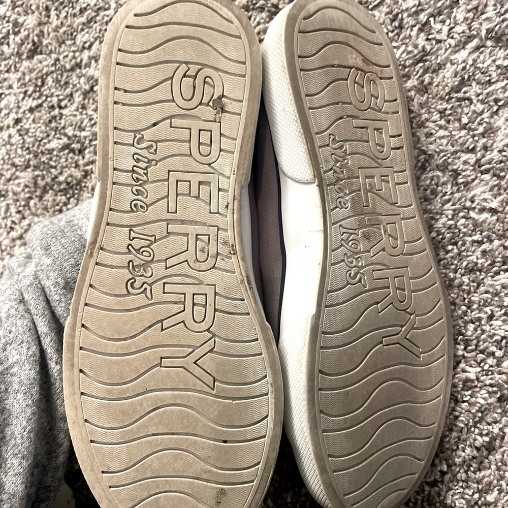Sperry Canvas Shoes